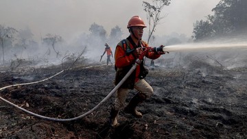 DPR Minta Koordinasi Kuat Atasi Kebakaran Hutan Kalimantan