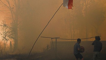 1.487 Titik Panas Terpantau di Kalimantan, Kalteng Paling Banyak