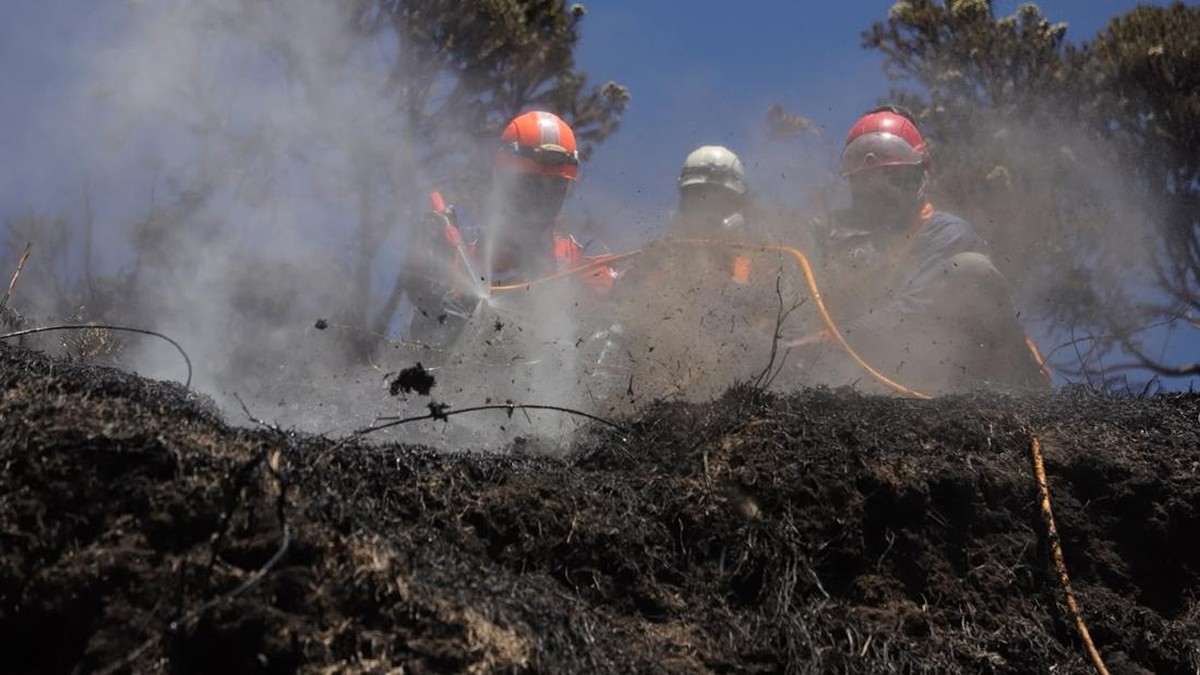 Api Lalap Ratusan Hektare Lahan Bromo, Pendekatan Darat Udara Diperkuat