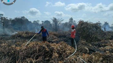 Karhutla Indonesia Capai 72.798 Hektare, Kalbar Terparah