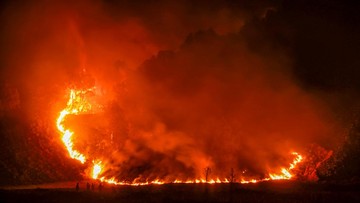 Kebakaran Bromo Meluas hingga 550 Hektare, Api Dekati Permukiman Warga