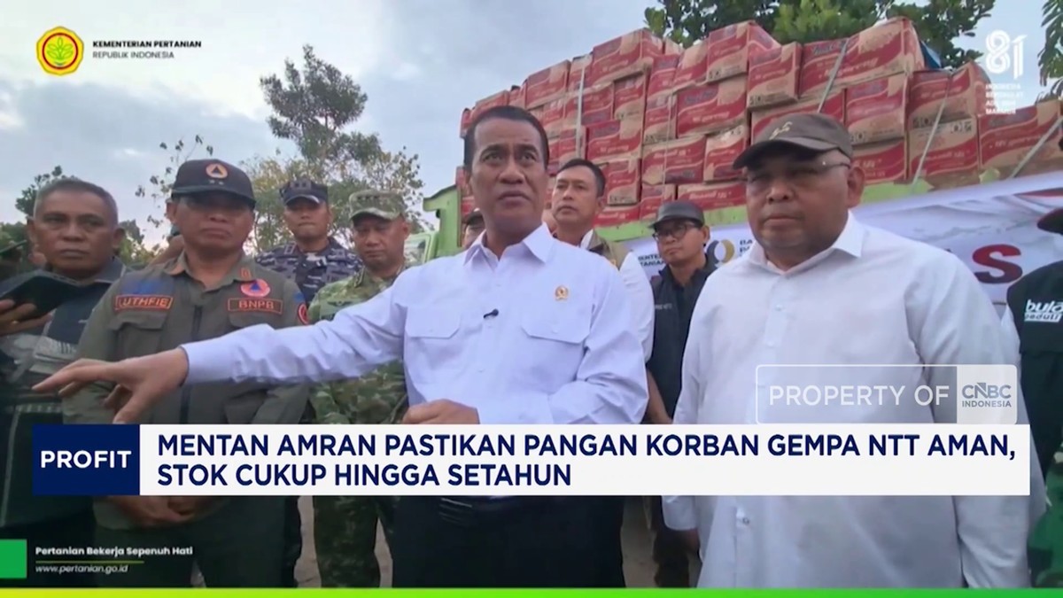 Mentan Amran Jamin Ketersediaan Pangan untuk Korban Gempa NTT