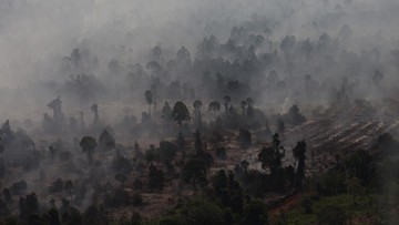 Kualitas Udara Kubu Raya Masuk Kategori Berbahaya, Warga Diminta Waspada