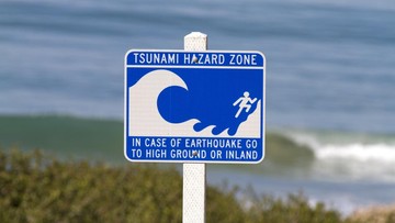Delapan Daerah di NTT dan Sulsel Masuk Kategori Siaga Tsunami Pasca Gempa Kuat