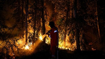 Kebakaran Lahan Hanguskan Perkebunan Warga di Pulang Pisau