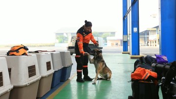 Polri Kerahkan Tim K9 dan Bantuan Logistik ke NTT Pascagempa