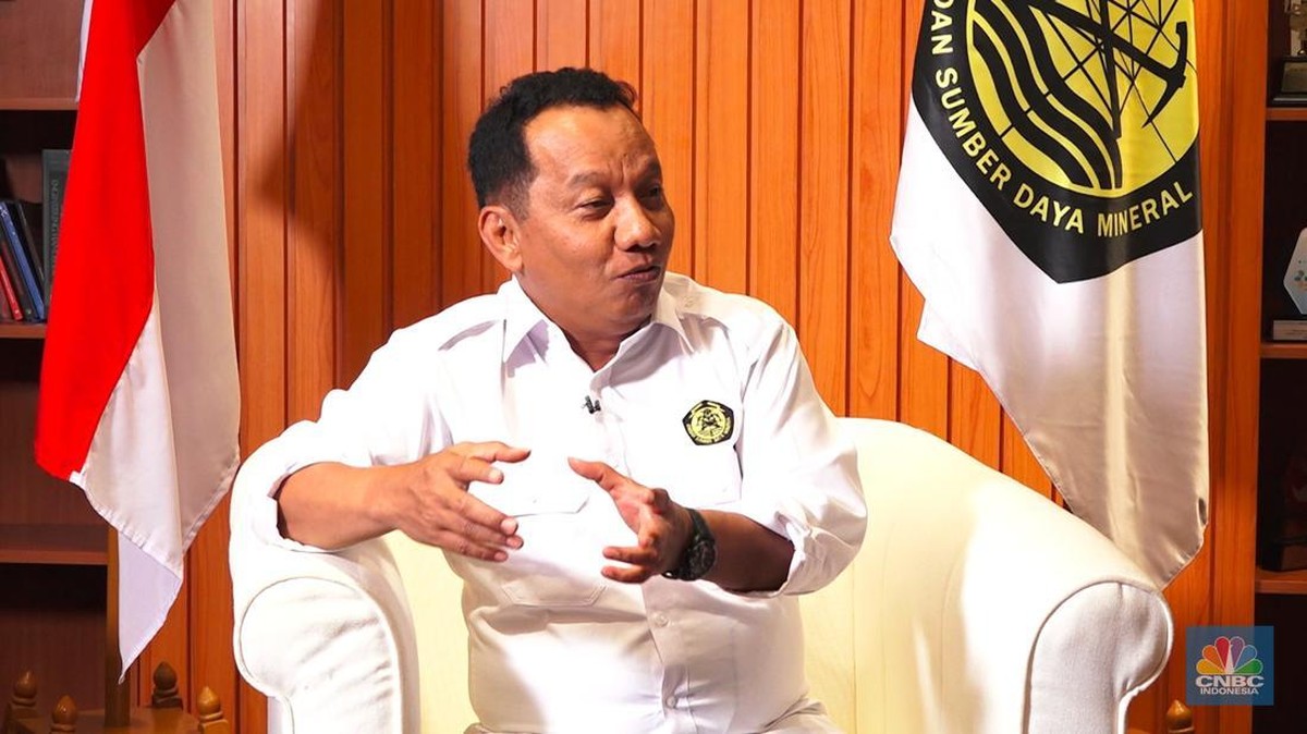 Kementerian ESDM Jelaskan Kondisi Pasokan Listrik di Kalimantan
