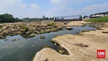 Sungai Cisadane Kering, Warga Berlomba Menangkap Ikan