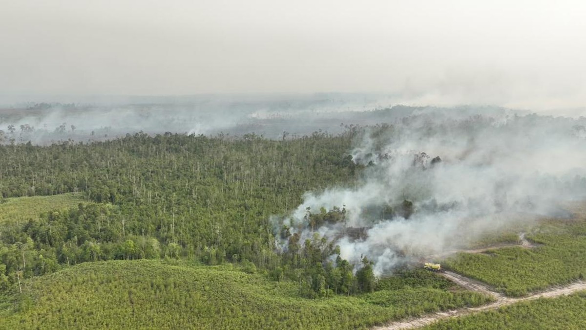 Airlangga Hartarto Serukan Penanganan Kebakaran Hutan Kalimantan