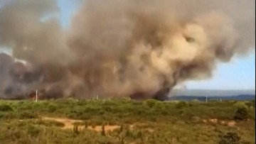 Ketika Langit Zadar Membakar: Inovasi Teknologi Penanganan Kebakaran Hutan