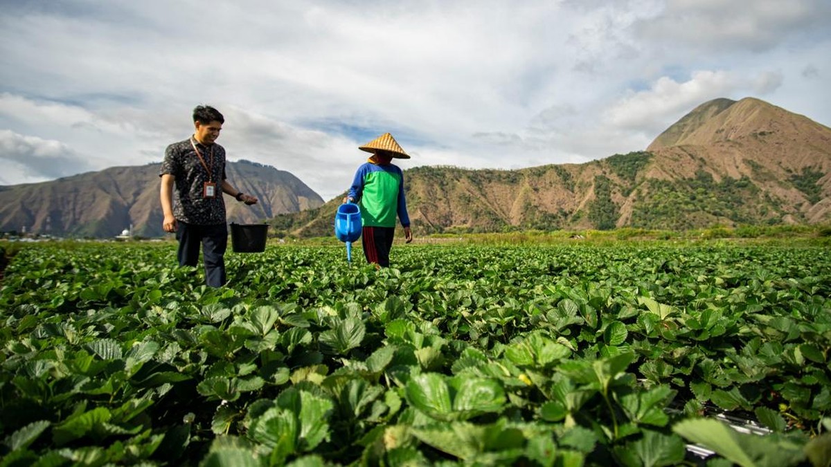 BRI Raih Anugerah Utama Social Bond 2025, Bukti Keuangan Inklusif