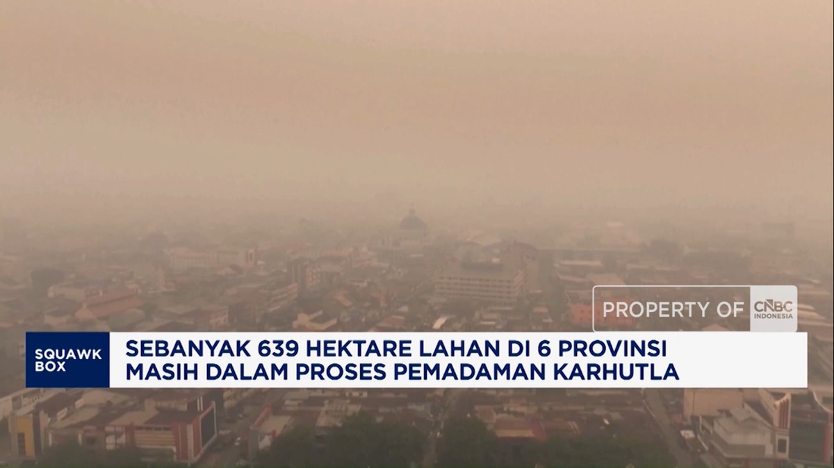 639 Hektare Lahan Terbakar di Enam Provinsi, Pemadaman Masih Berlangsung