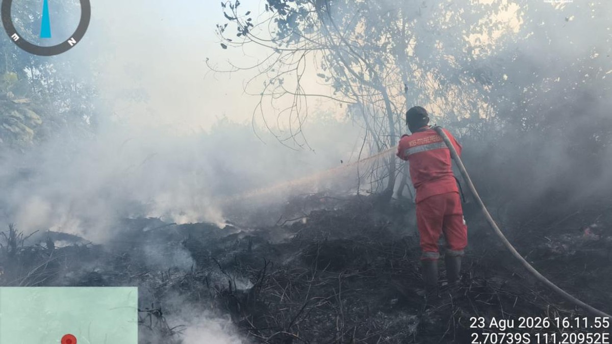 Transportasi Kalimantan Tetap Berjalan Meski Kabut Karhutla Melanda