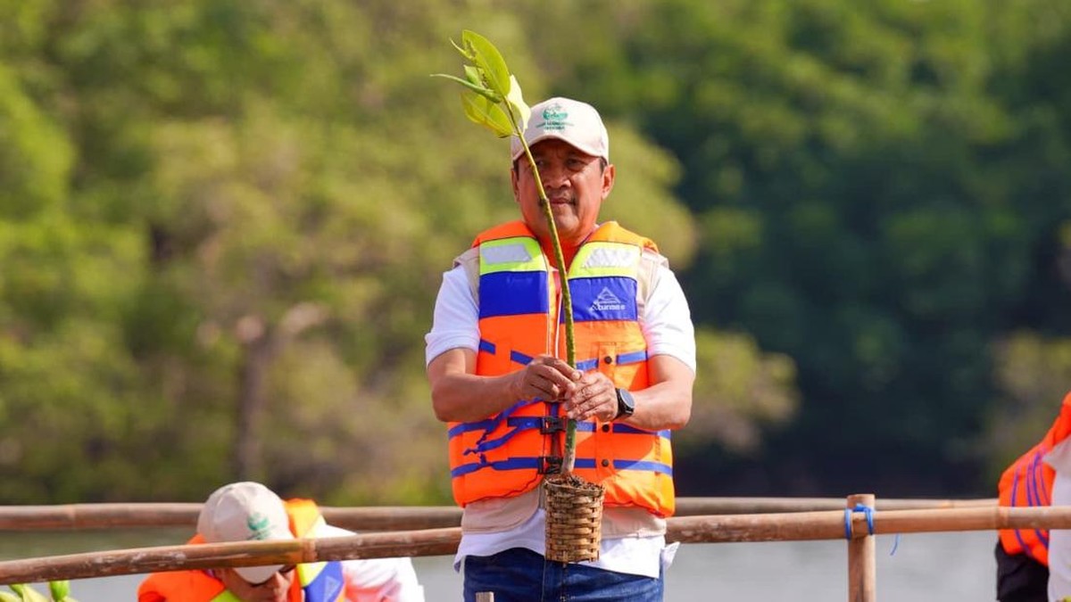 Laju Kerusakan Mangrove Indonesia Tembus 52 Ribu Hektar per Tahun, Ancaman Nyata bagi Ketahanan Pangan