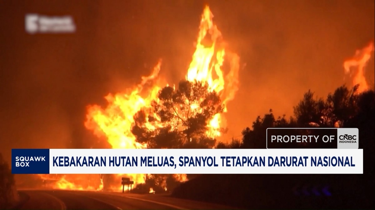 Spanyol Tetapkan Darurat Nasional, 285 Ribu Warga Dievakuasi akibat Kebakaran Hutan