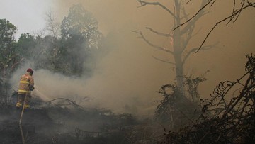 Tiga Helikopter JSDF Jepang Berangkat ke Kalimantan Perangi Karhutla