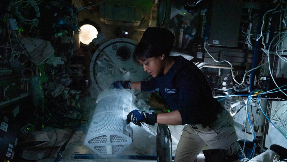 Sembelit Astronaut: Misteri Pencernaan di Ruang Angkasa Terkuak