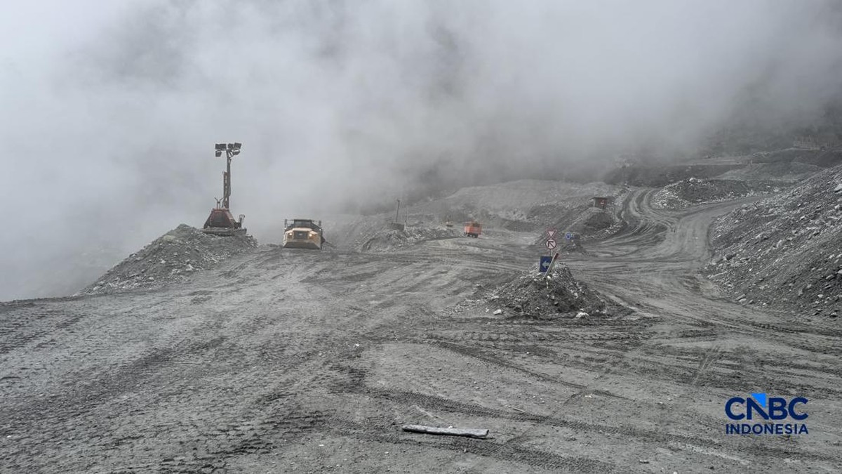Perpanjangan Izin Freeport dan Alasan Dunia Menoleh