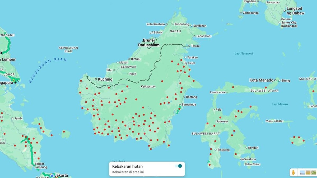 Waspada Karhutla: 3 Cara Online Pantau Titik Api dari Rumah