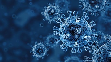 AI Ciptakan Virus Pertama, Ini Dampaknya bagi Manusia