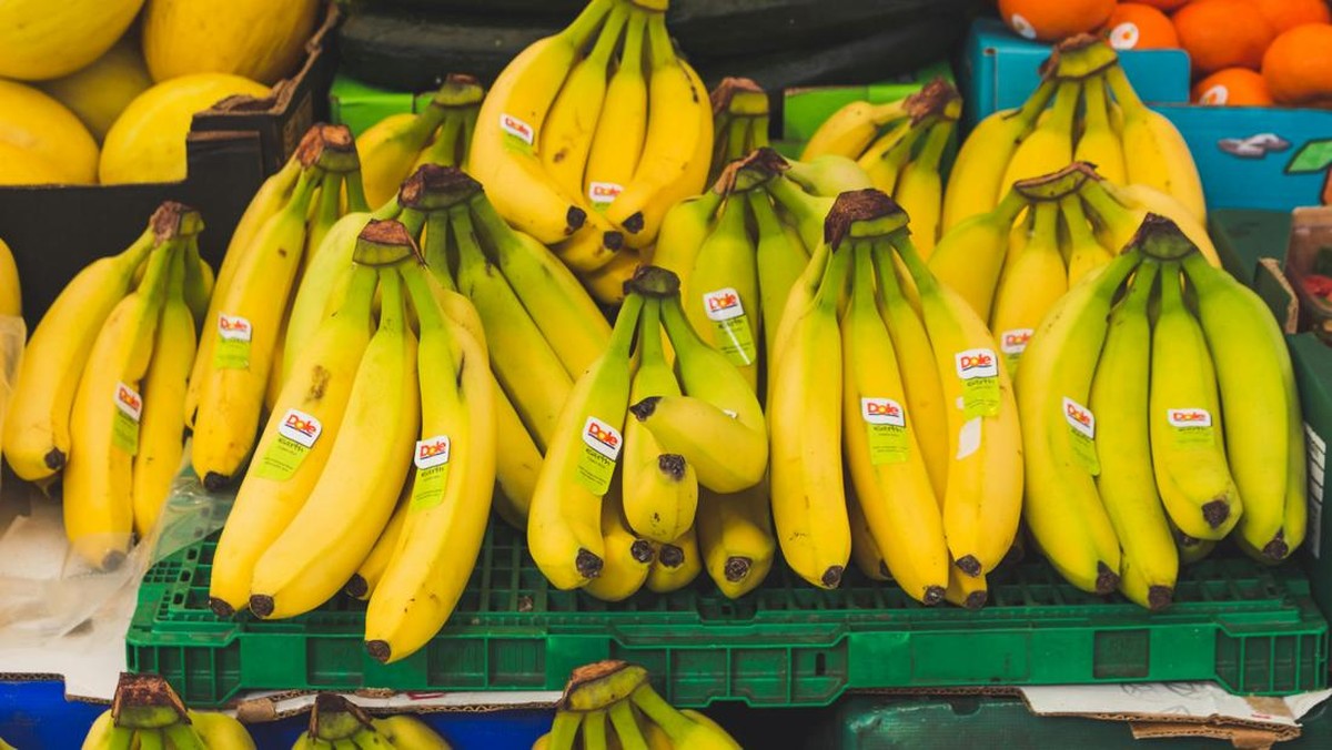 Jamur dari Indonesia Ancam Kepunahan Pisang Dunia