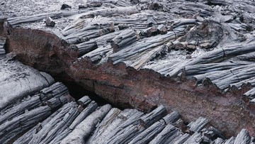Mengurai Ancaman Megathrust: Peran Inovasi Teknologi dan Kesiapsiagaan Digital Kita