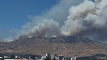 Kebakaran Hutan Nevada Meluas, 42 Ribu Warga Terpaksa Mengungsi