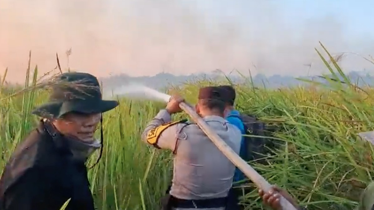 200 Personel Padamkan Karhutla Way Kambas, Teknologi Kunci Pencegahan