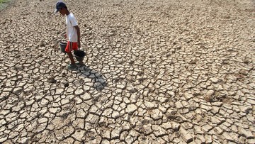 El Nino Menguat: PBB Sebut Bumi Makin Terbakar, Ini Dampaknya