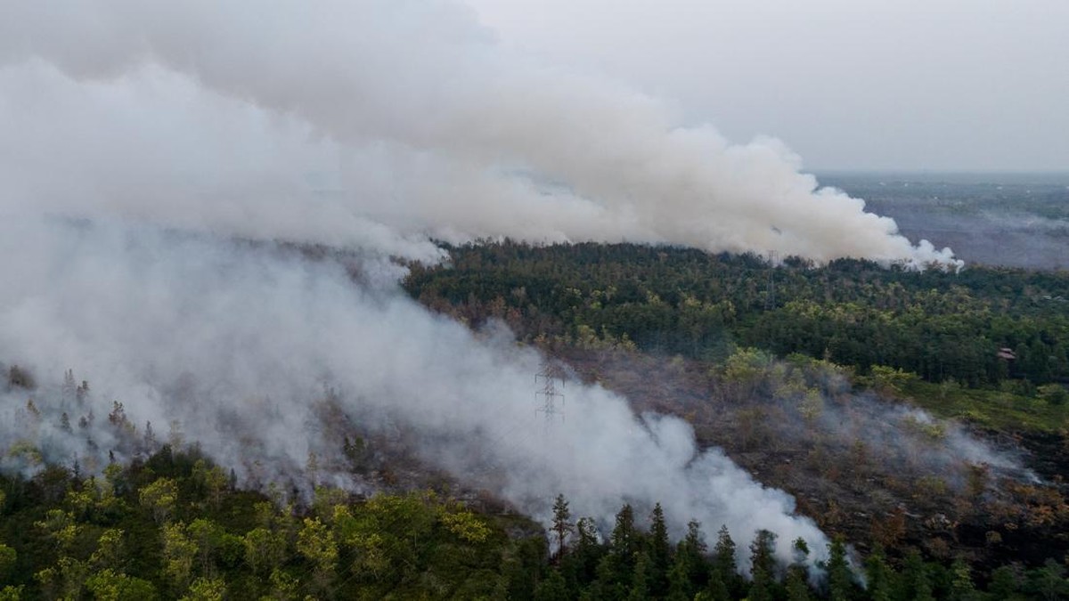 Asap Kebakaran Hutan Kalimantan Ganggu Penerbangan, Menhub Beri Peringatan Maskapai