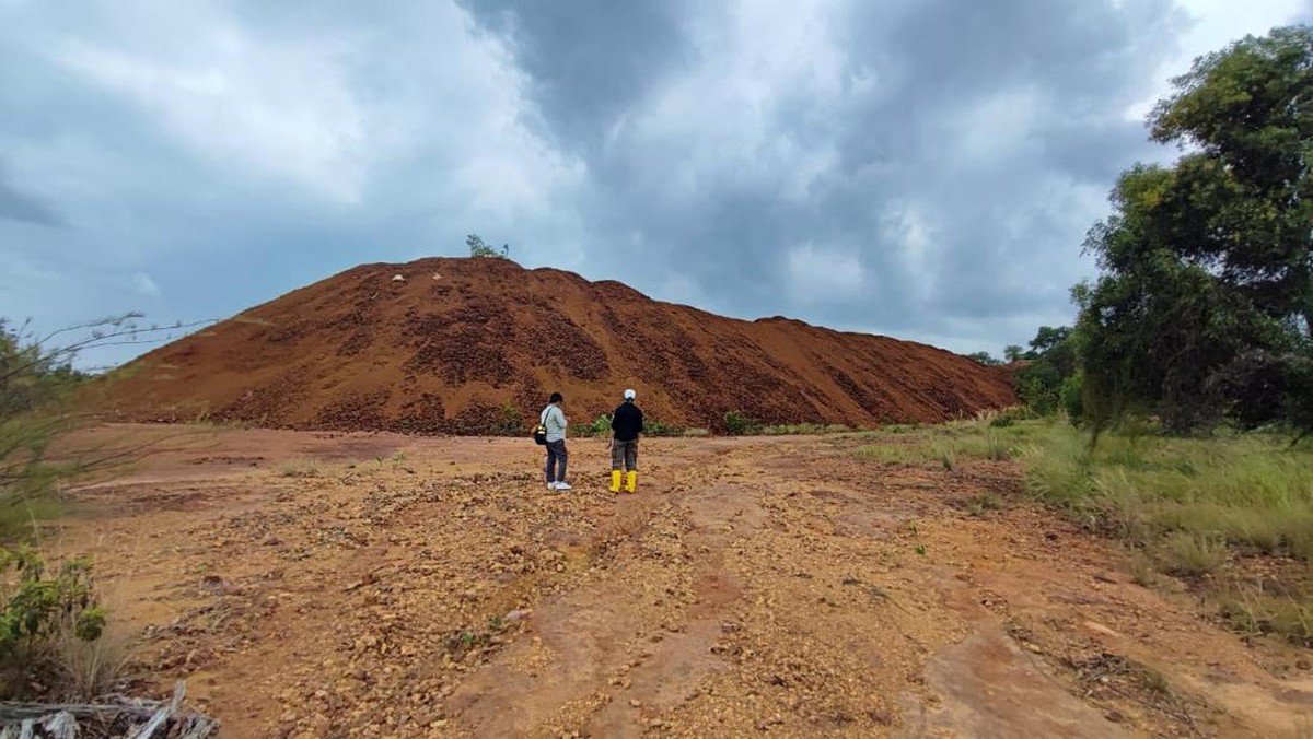 Lelang Bauksit Sitaan Raup Rp108,8 Miliar, Sinyal Baru Tata Kelola Tambang