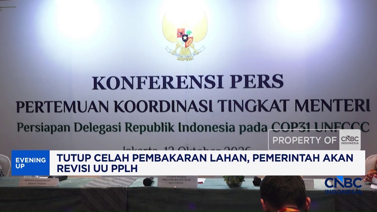 Revisi UU PPLH: Upaya Serius Tutup Celah Hukum Pembakaran Lahan