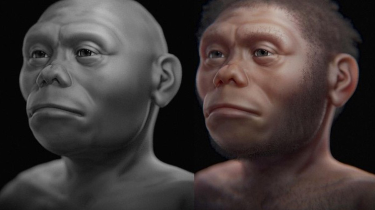 Homo Floresiensis: Misteri Spesies Purba yang Diduga Masih Hidup