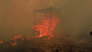 BMKG Deteksi Ribuan Titik Panas, Kalimantan Jadi Wilayah Terbanyak