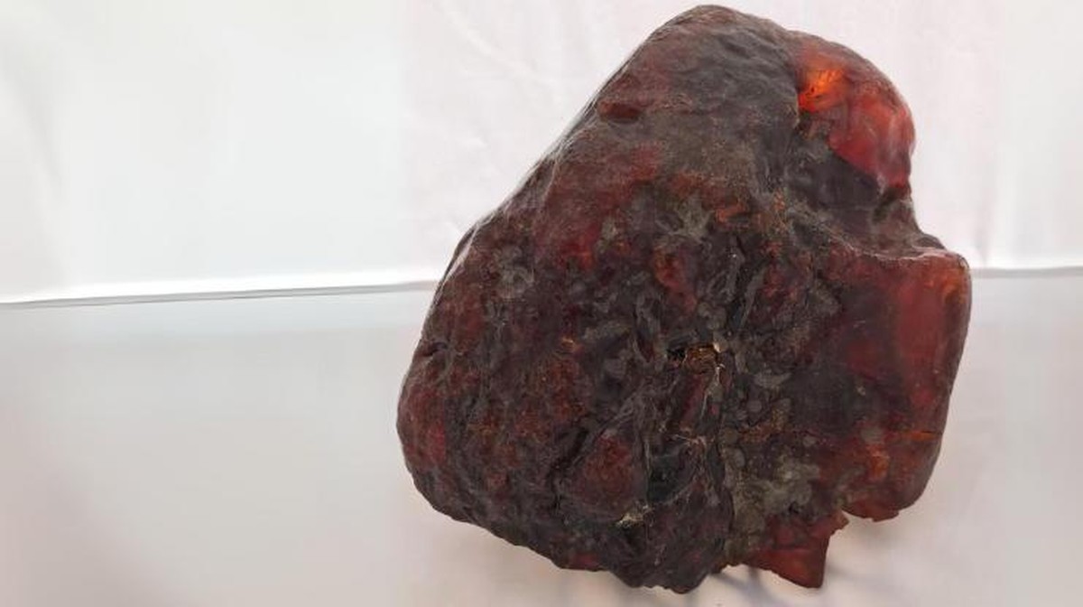 Amber Raksasa 3,5 Kg: Dari Ganjal Pintu ke Harta Rp 20 Miliar