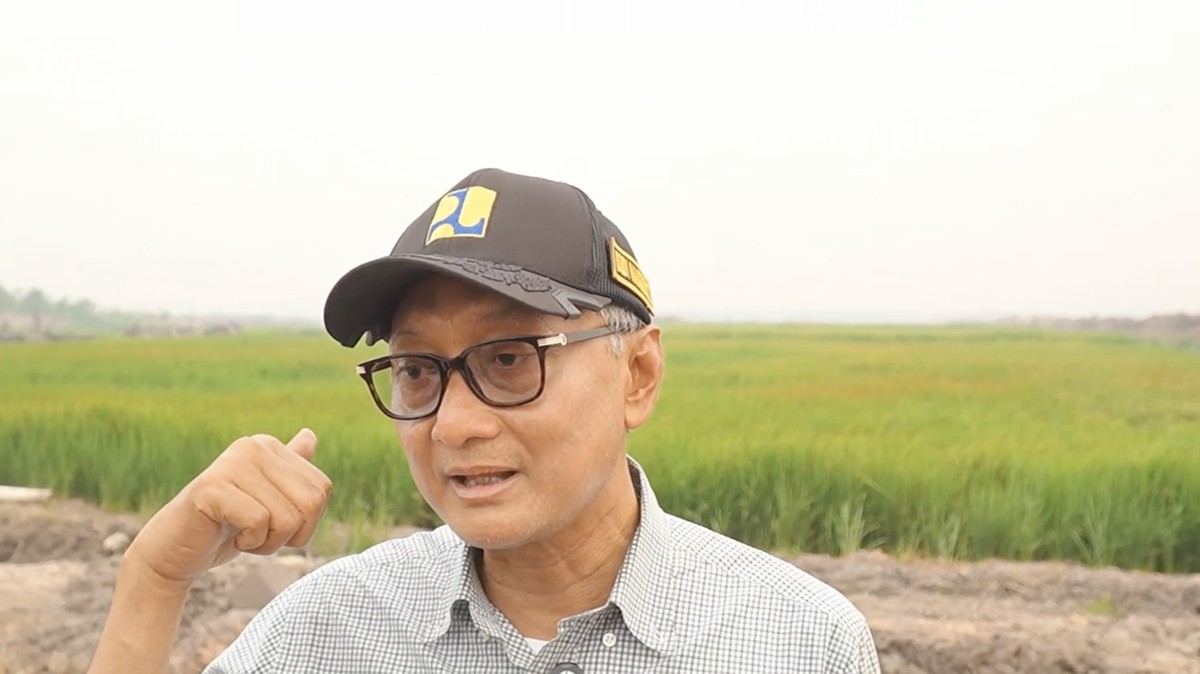 Merauke Siap Panen Perdana 2026 Berkat Infrastruktur Air