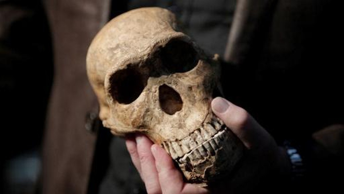 Algoritma Genom Temukan Lokasi Kawin Silang Sapiens dan Neanderthal