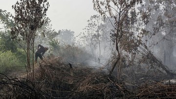 Kabut Asap Karhutla Kalimantan Tutup 108 Sekolah di Sarawak