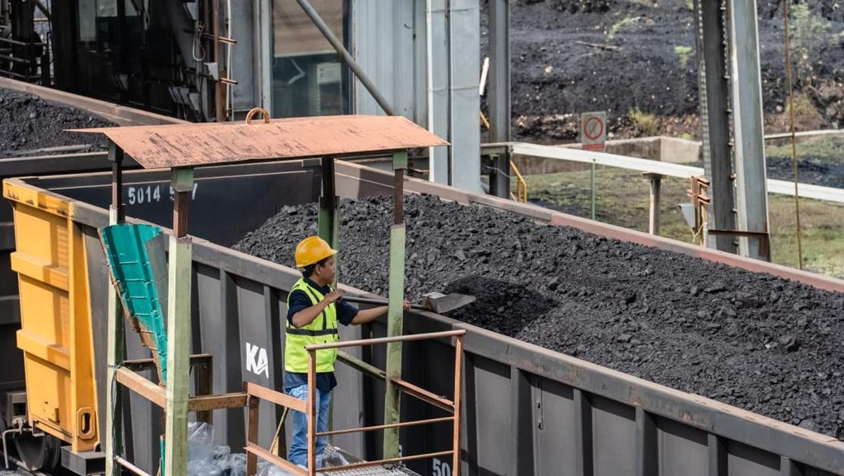 PTBA Targetkan Produksi Batu Bara 50 Juta Ton pada Akhir 2026