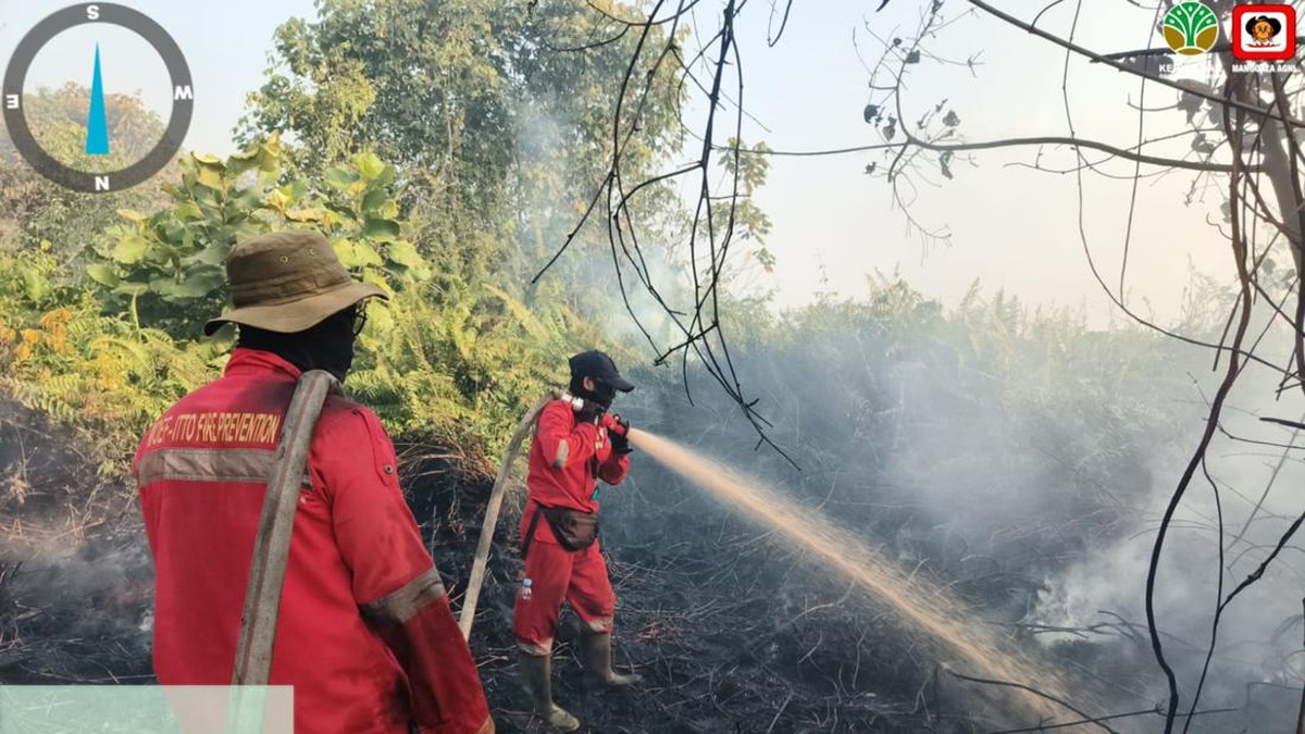 Kebakaran Landa 335 Konsesi Hutan di Sumatra dan Kalimantan
