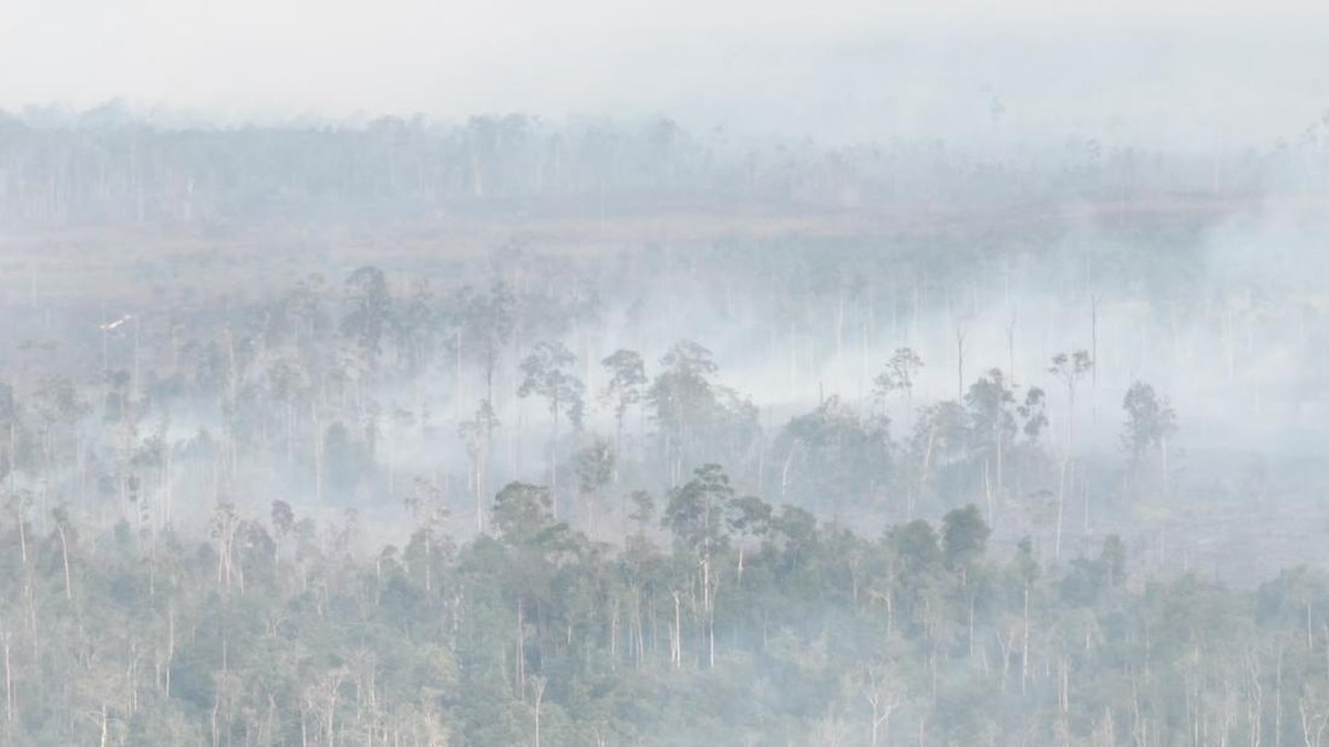 Kabut Asap Kebakaran Hutan Kalimantan Lumpuhkan Penerbangan dan Ratusan Penumpang