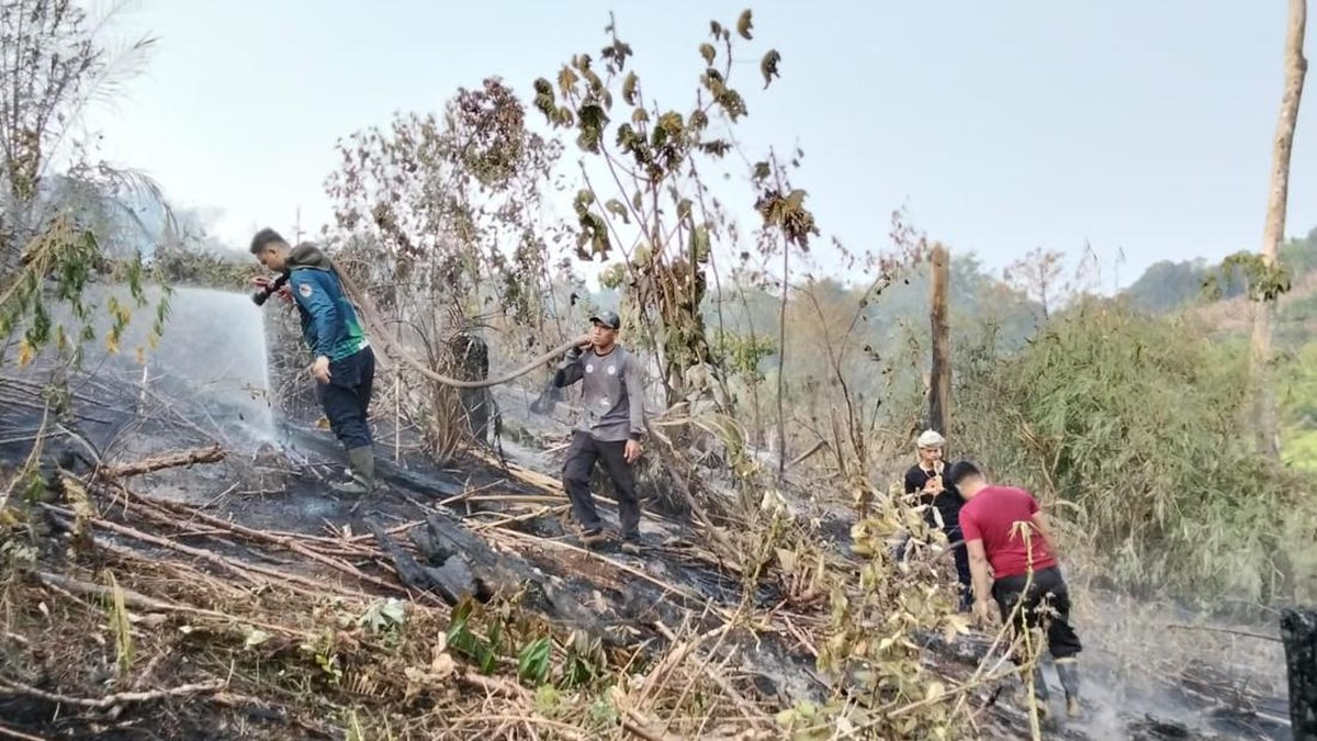 Kalimantan Masih Kering: BMKG Prediksi Hujan Baru Pekan Depan