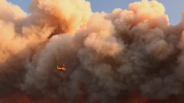 Kebakaran Hutan di Prancis Tenggara Hanguskan 1.700 Hektare Lahan