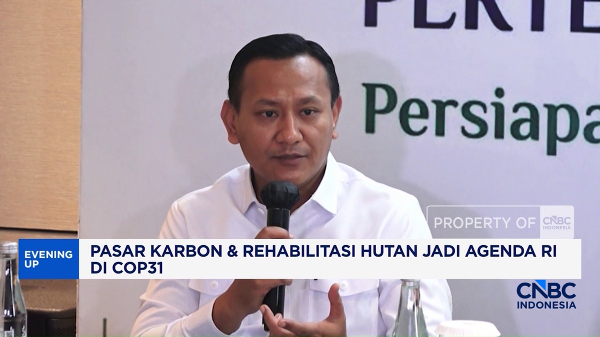 Pasar Karbon dan Rehabilitasi Hutan, Strategi Baru Indonesia di COP31