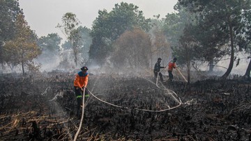 BMKG Deteksi 5.019 Titik Panas, Ancaman Karhutla Meningkat Tajam