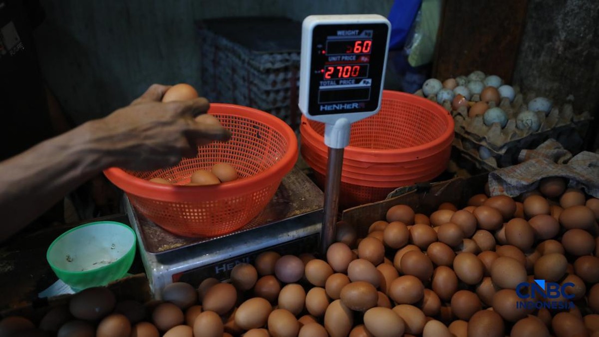 Mendag Dorong Harga Telur Ayam Tetap Menopang Peternak