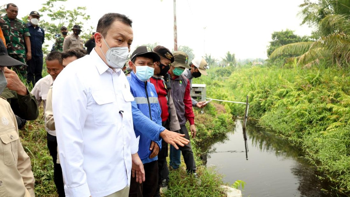 Wamen LH Ajak Swasta Bangun Sekat Kanal Cegah Kebakaran Gambut