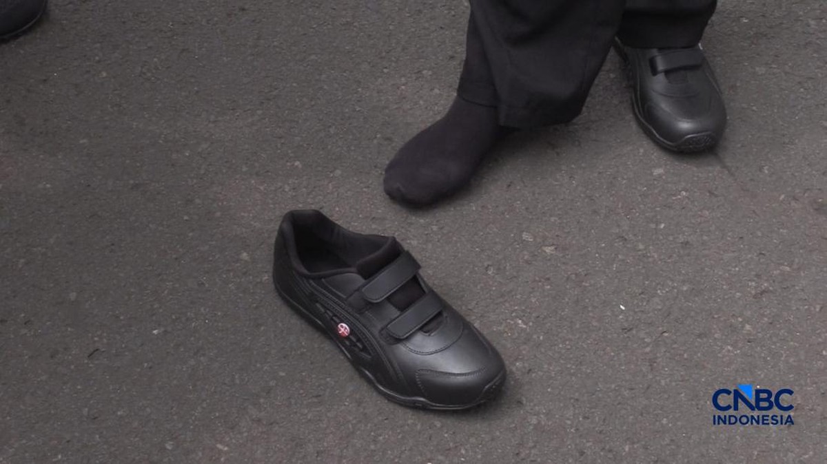 Prabowo Pesan Sepatu Karet Lokal BRIN, Harga di Bawah Rp 80 Ribu