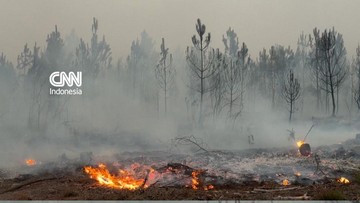 Kebakaran Hutan Dahsyat Landa Prancis, 197 Ribu Jiwa Dievakuasi
