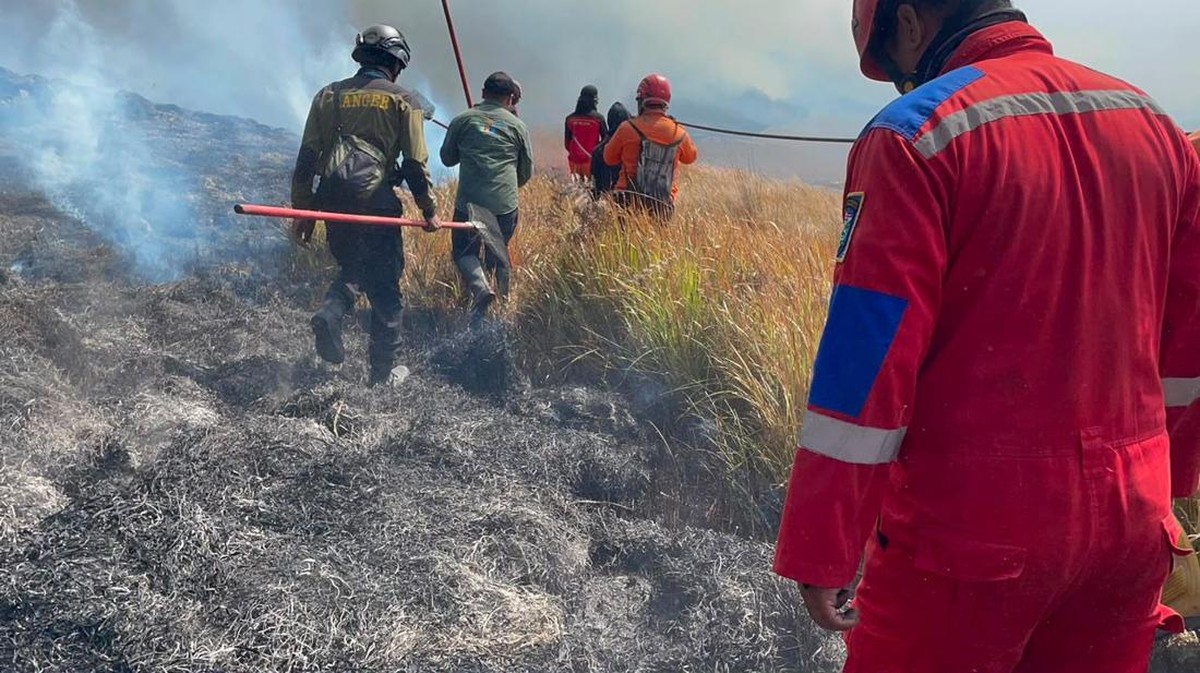 Api Bromo Melompat ke Lautan Pasir, Ahli Serukan Mitigasi Cerdas